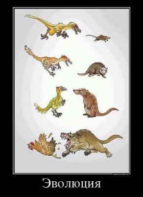 Прикрепленное изображение: evolyutsiya.jpg